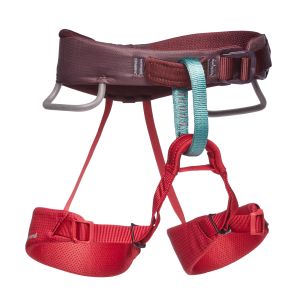 Black Diamond Momentum Harness - Kid's