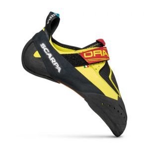 Scarpa Drago