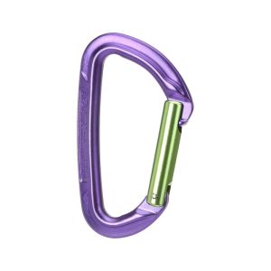 Wild Country Session Straight Gate Carabiner