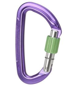 Wild Country Session Screw Gate Carabiner